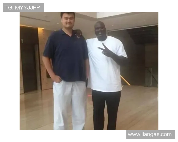 斯塔德深度解析姚明的篮球影响力与职业生涯成就
